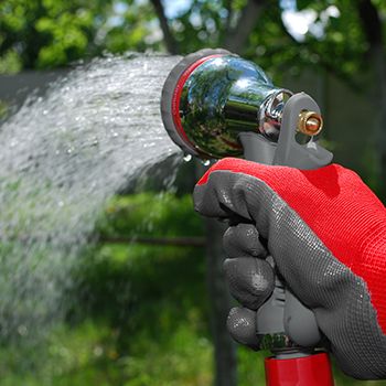 Функціонал