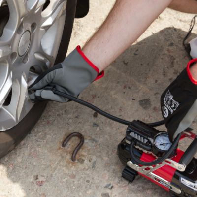 Універсальність