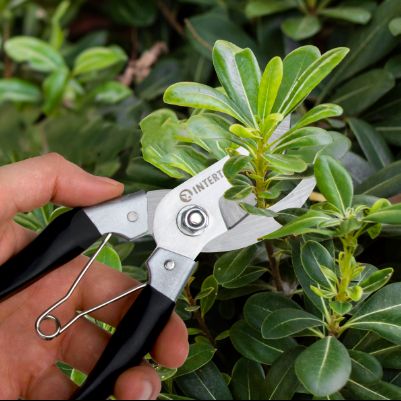 Призначення