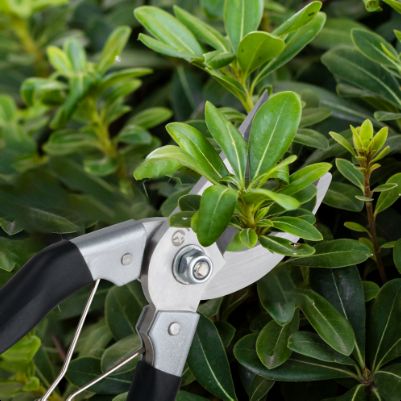 Зручність в роботі