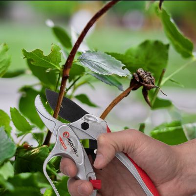 Ефективна робота