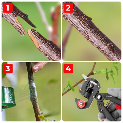 Послідовність роботи