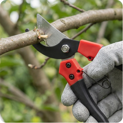 Призначення