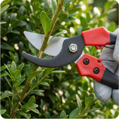 Надійна та зносостійка